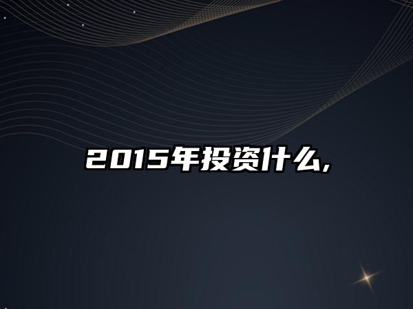 2015年投資什么,