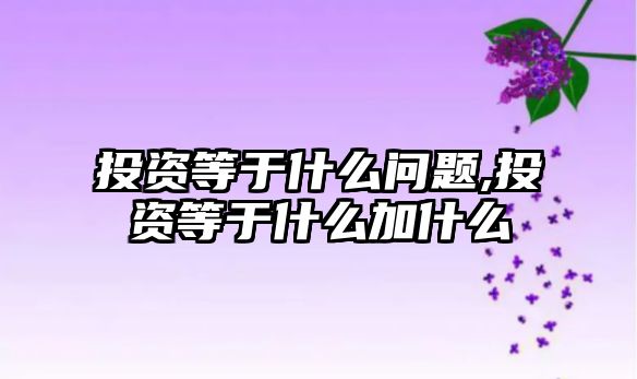 投資等于什么問題,投資等于什么加什么