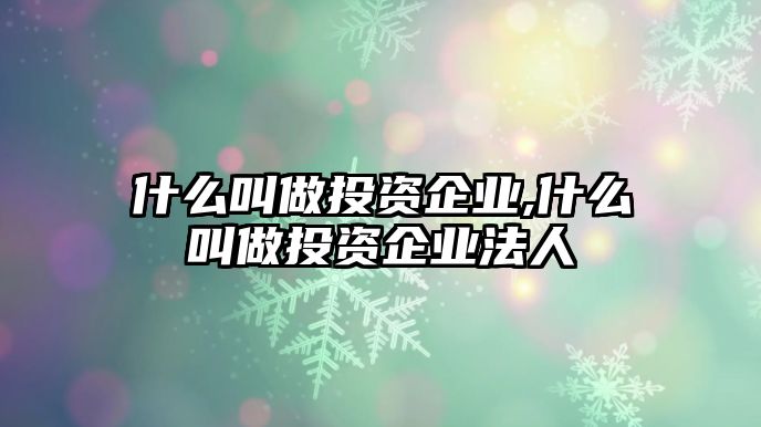 什么叫做投資企業(yè),什么叫做投資企業(yè)法人