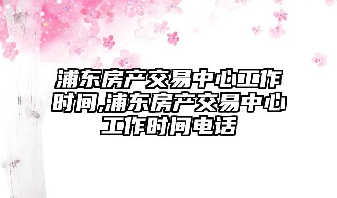 浦東房產(chǎn)交易中心工作時間,浦東房產(chǎn)交易中心工作時間電話