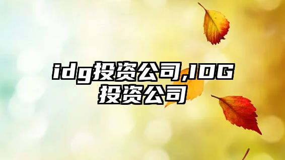 idg投資公司,IDG投資公司