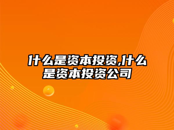 什么是資本投資,什么是資本投資公司