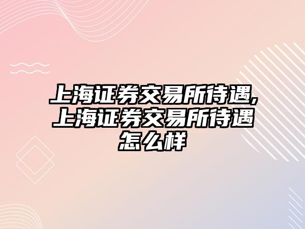 上海證券交易所待遇,上海證券交易所待遇怎么樣