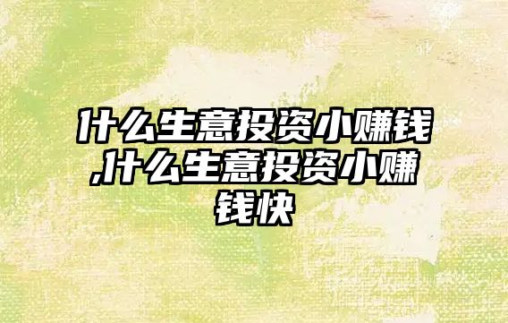 什么生意投資小賺錢,什么生意投資小賺錢快