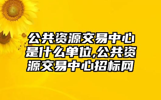 公共資源交易中心是什么單位,公共資源交易中心招標(biāo)網(wǎng)