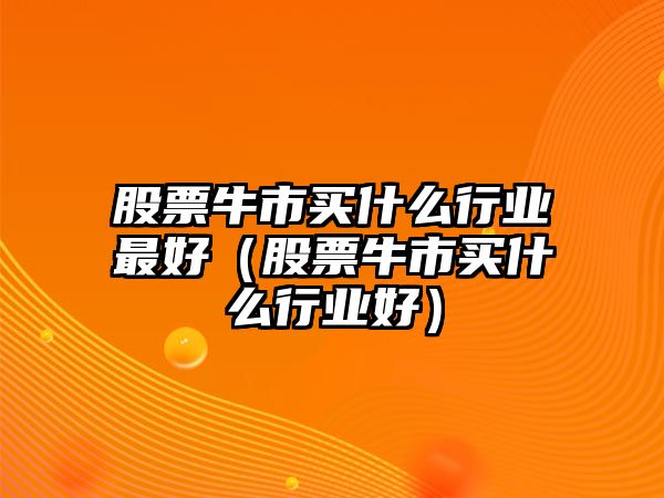 股票牛市買什么行業(yè)最好（股票牛市買什么行業(yè)好）