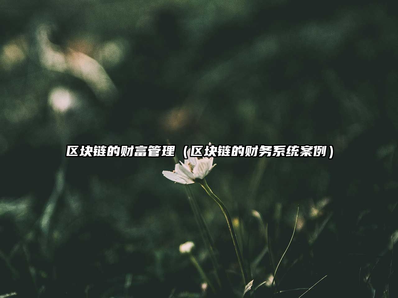 區(qū)塊鏈的財富管理（區(qū)塊鏈的財務(wù)系統(tǒng)案例）