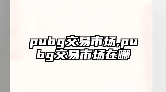 pubg交易市場,pubg交易市場在哪