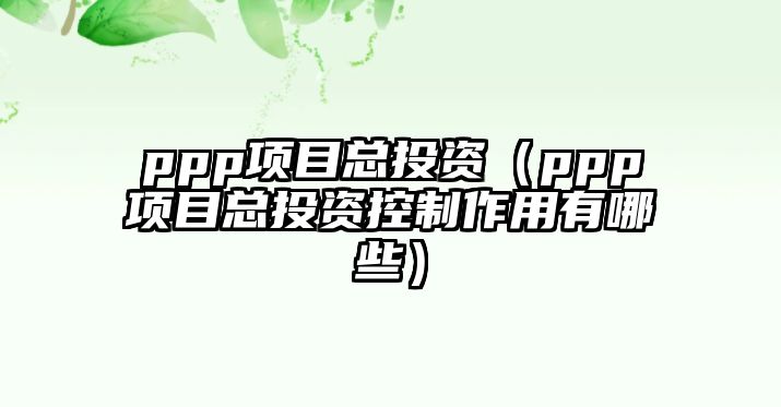 ppp項目總投資（ppp項目總投資控制作用有哪些）