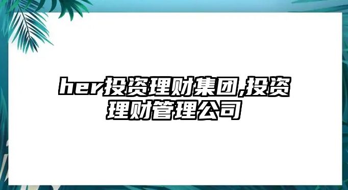 her投資理財(cái)集團(tuán),投資理財(cái)管理公司