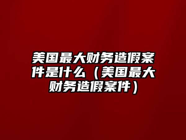 美國最大財務造假案件是什么（美國最大財務造假案件）