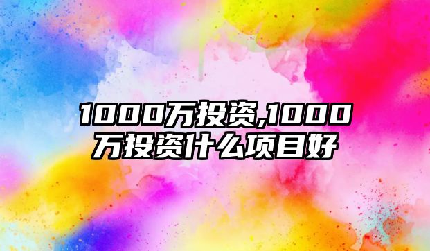 1000萬(wàn)投資,1000萬(wàn)投資什么項(xiàng)目好