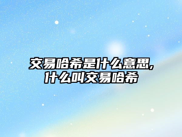 交易哈希是什么意思,什么叫交易哈希