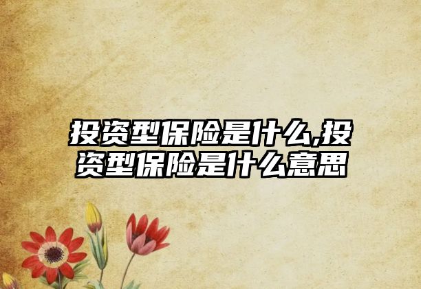 投資型保險(xiǎn)是什么,投資型保險(xiǎn)是什么意思