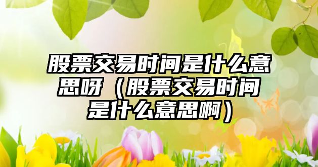 股票交易時間是什么意思呀（股票交易時間是什么意思啊）