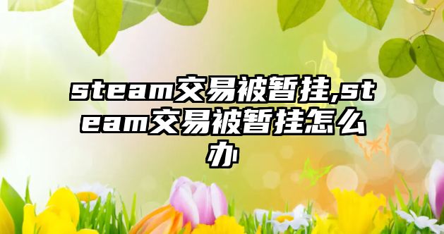 steam交易被暫掛,steam交易被暫掛怎么辦