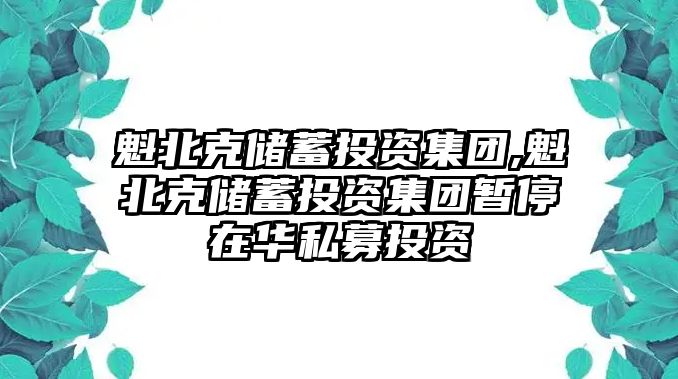 魁北克儲蓄投資集團,魁北克儲蓄投資集團暫停在華私募投資