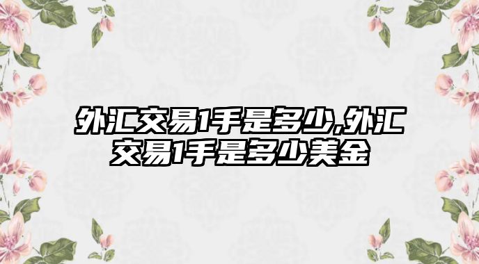 外匯交易1手是多少,外匯交易1手是多少美金