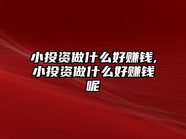 小投資做什么好賺錢,小投資做什么好賺錢呢