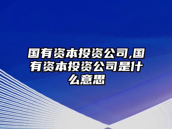 國(guó)有資本投資公司,國(guó)有資本投資公司是什么意思