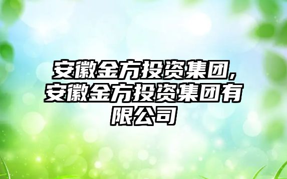 安徽金方投資集團(tuán),安徽金方投資集團(tuán)有限公司