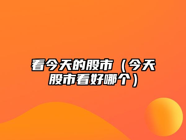 看今天的股市（今天股市看好哪個）