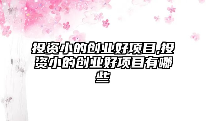 投資小的創(chuàng)業(yè)好項目,投資小的創(chuàng)業(yè)好項目有哪些