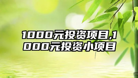 1000元投資項(xiàng)目,1000元投資小項(xiàng)目