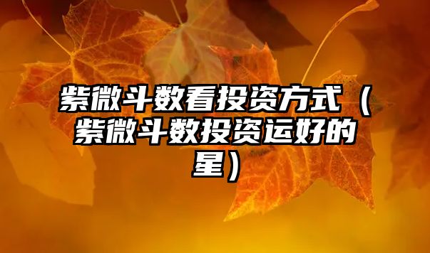 紫微斗數(shù)看投資方式（紫微斗數(shù)投資運(yùn)好的星）