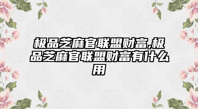 極品芝麻官聯(lián)盟財(cái)富,極品芝麻官聯(lián)盟財(cái)富有什么用