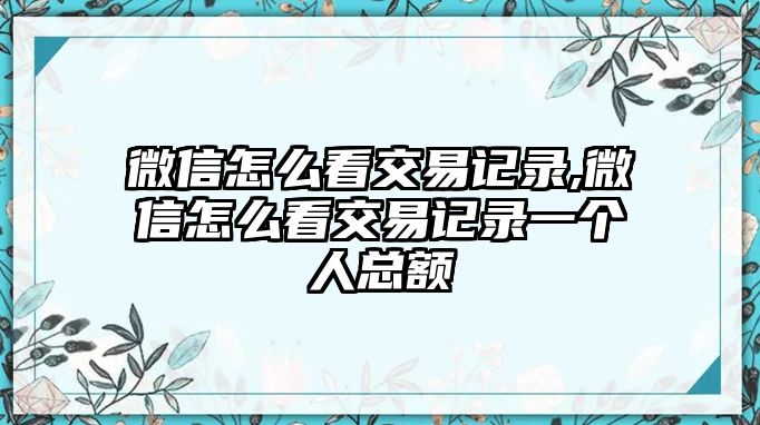 微信怎么看交易記錄,微信怎么看交易記錄一個(gè)人總額