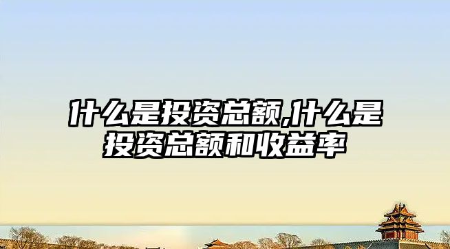 什么是投資總額,什么是投資總額和收益率