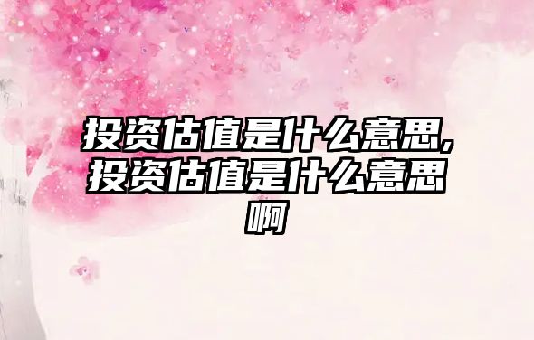 投資估值是什么意思,投資估值是什么意思啊