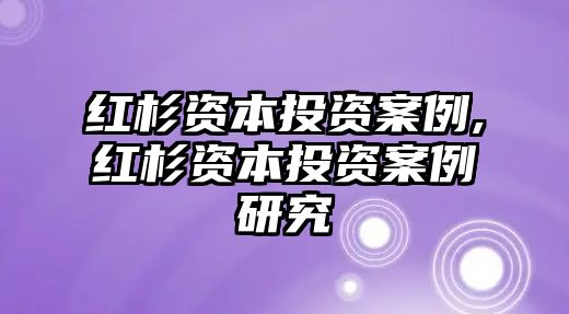 紅杉資本投資案例,紅杉資本投資案例研究