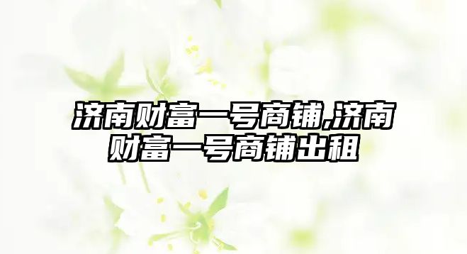 濟南財富一號商鋪,濟南財富一號商鋪出租