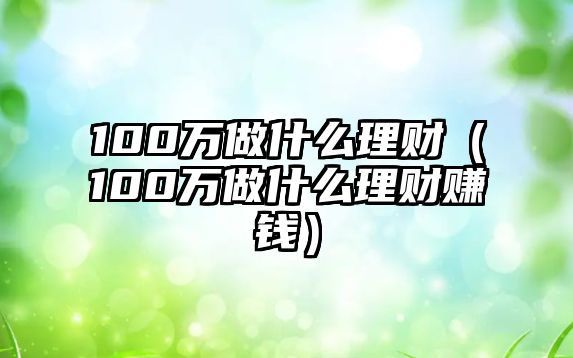 100萬(wàn)做什么理財(cái)（100萬(wàn)做什么理財(cái)賺錢）