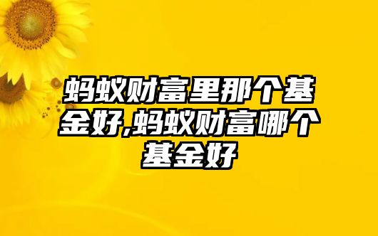 螞蟻財(cái)富里那個(gè)基金好,螞蟻財(cái)富哪個(gè)基金好