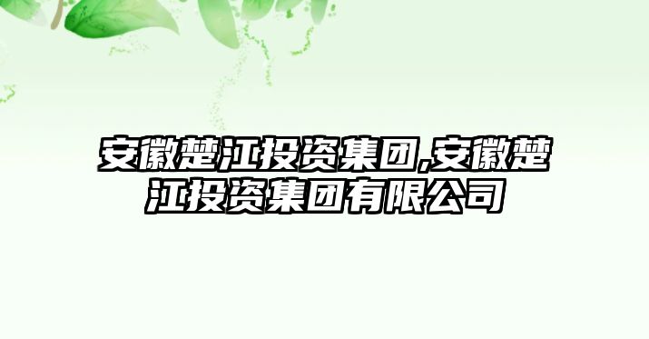 安徽楚江投資集團,安徽楚江投資集團有限公司