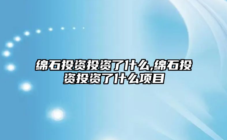 綿石投資投資了什么,綿石投資投資了什么項目