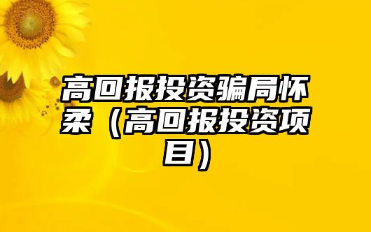 高回報投資騙局懷柔（高回報投資項目）