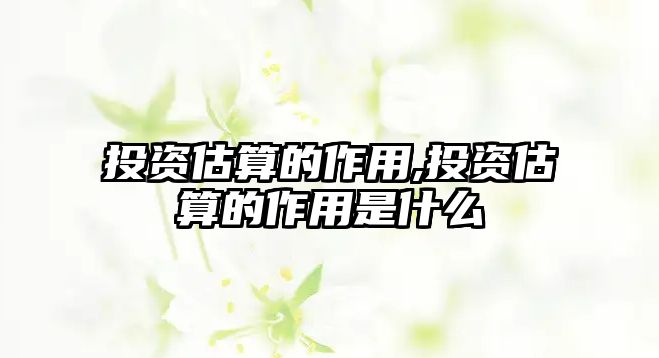 投資估算的作用,投資估算的作用是什么