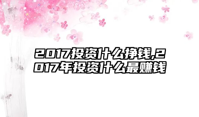 2017投資什么掙錢,2017年投資什么最賺錢