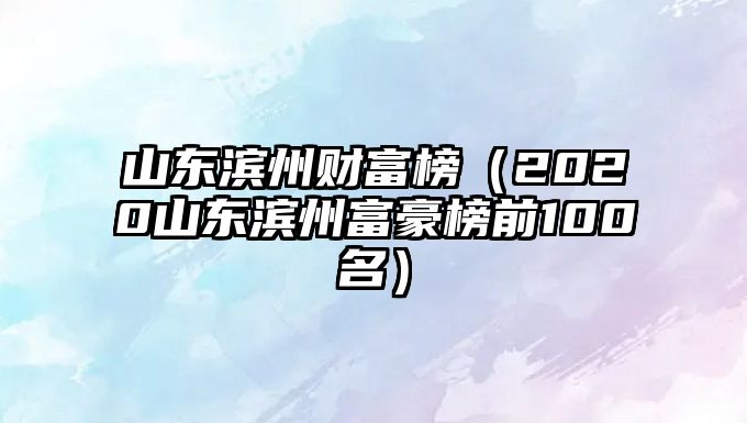 山東濱州財富榜（2020山東濱州富豪榜前100名）