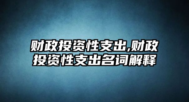 財(cái)政投資性支出,財(cái)政投資性支出名詞解釋