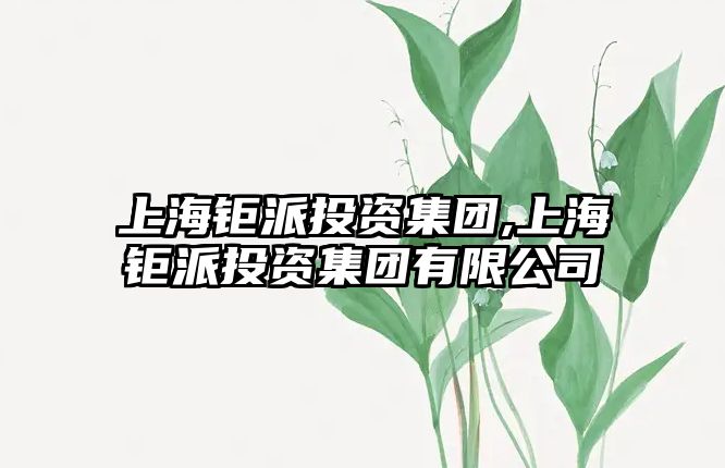 上海鉅派投資集團(tuán),上海鉅派投資集團(tuán)有限公司