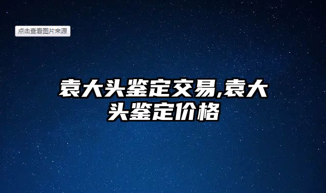 袁大頭鑒定交易,袁大頭鑒定價格