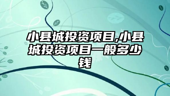 小縣城投資項目,小縣城投資項目一般多少錢