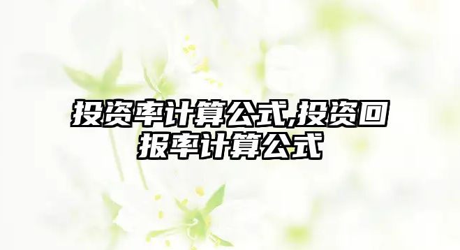 投資率計(jì)算公式,投資回報(bào)率計(jì)算公式