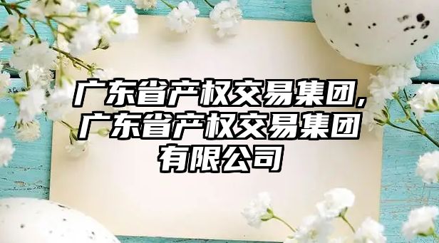 廣東省產(chǎn)權(quán)交易集團(tuán),廣東省產(chǎn)權(quán)交易集團(tuán)有限公司