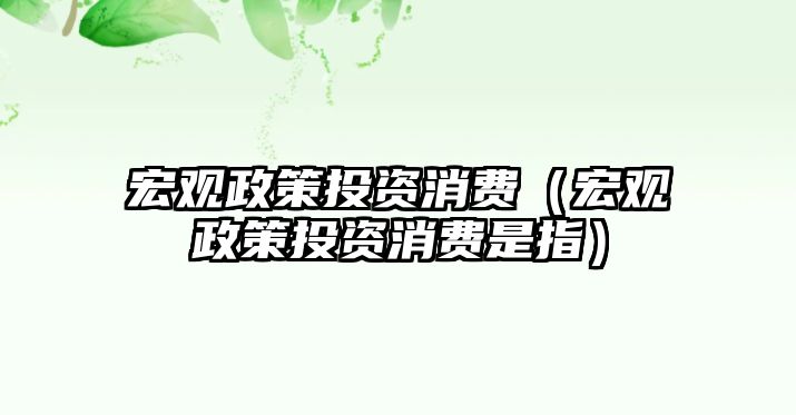 宏觀政策投資消費（宏觀政策投資消費是指）